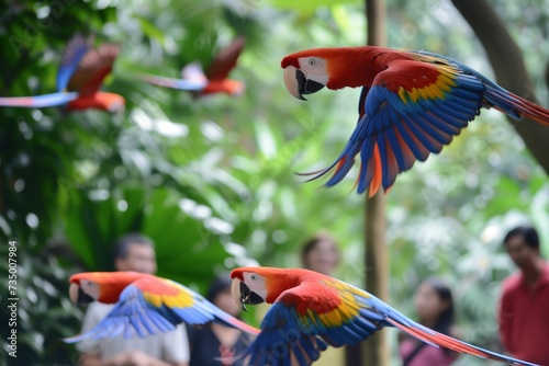 Vászonkép parrots flying in a zoo aviary as visitors look on