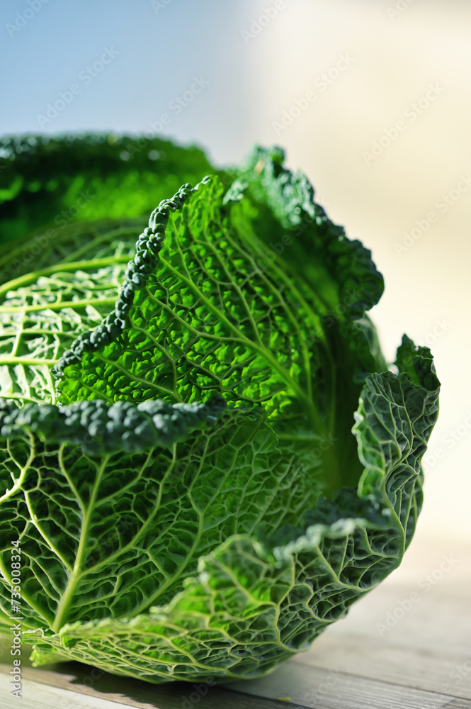 Closeup view of green fresh organic savoy cabbage