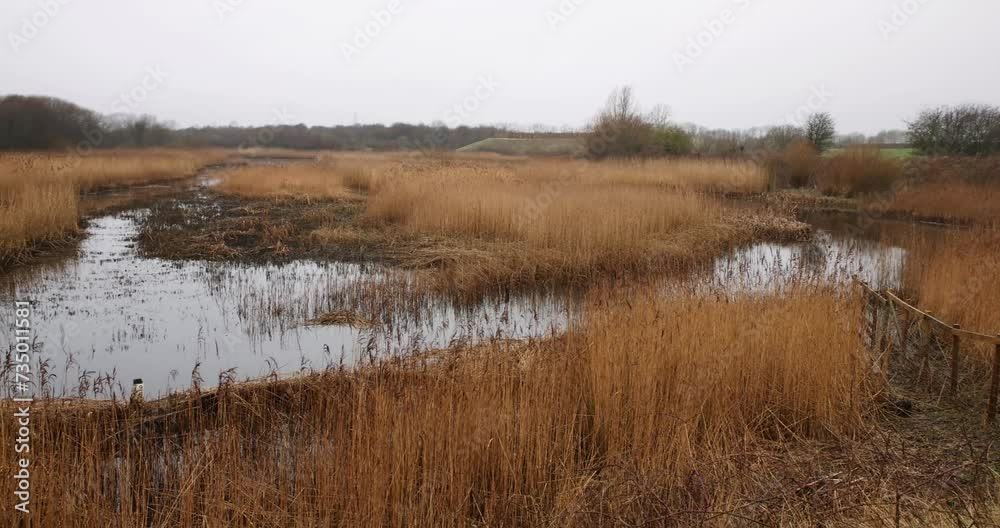 Tophill Low Nature reserve in East Yorkshire, Tophill Low Nature reserve is an active Yorkshire Water treatment works. 4K Video. Tophill Low Nature reserve in East Yorkshire, Tophill Low Nature reserve is an active Yorkshire Water treatment works. 4K Video.