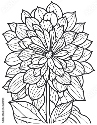 flowers coloring book for children and adults © Joanna Redesiuk