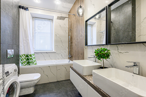 interior apartment room bathroom  sink  decorative elements  toilet. WC  sanitary unit  wash room
