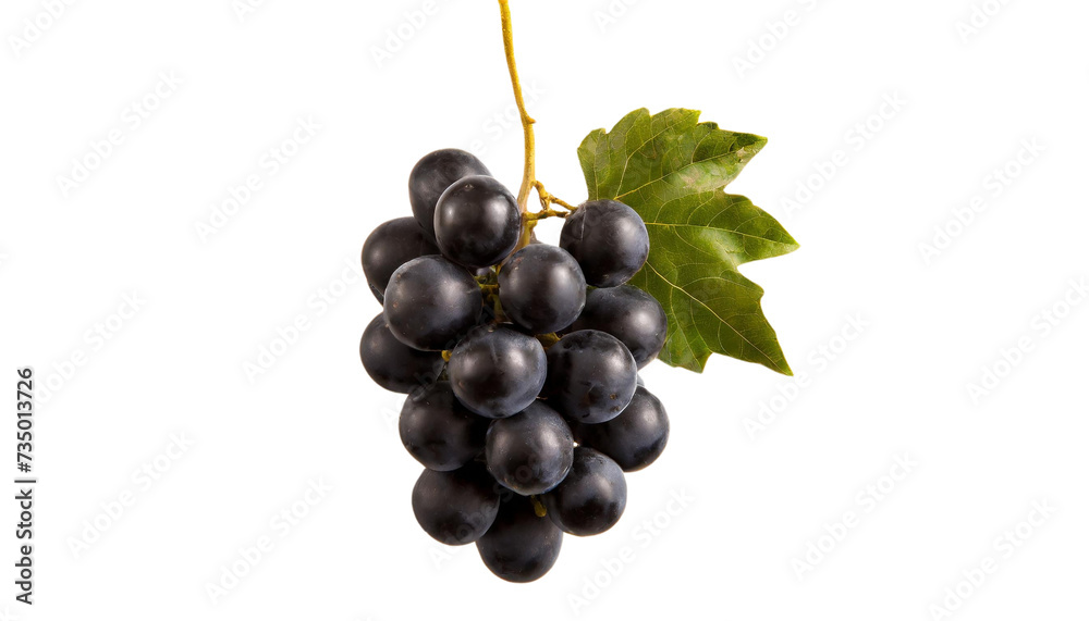 Fototapeta premium Bunch of black grapes isolated on transparent background.