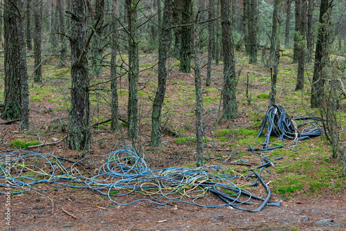 Remnants of electrical insulation removed from old copper wires are left on a forest road. Remains of illegal extraction of non-ferrous metal scrap. Environment pollution.