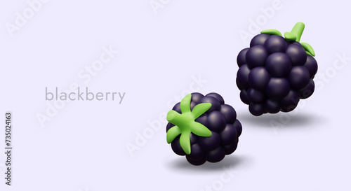 Color banner with appetizing blackberry and place for text