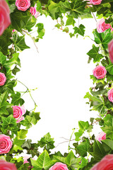 Pink rose frame. Ivy, vines, green leaves, branches. Intricate flawless pen tool cutout. Transparent PNG background. Love concept. Valentines day. Mother's Day. Celebration card design. 