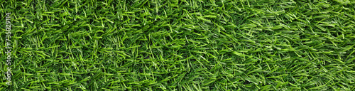 Fresh green grass as background outdoors, top view. Banner design