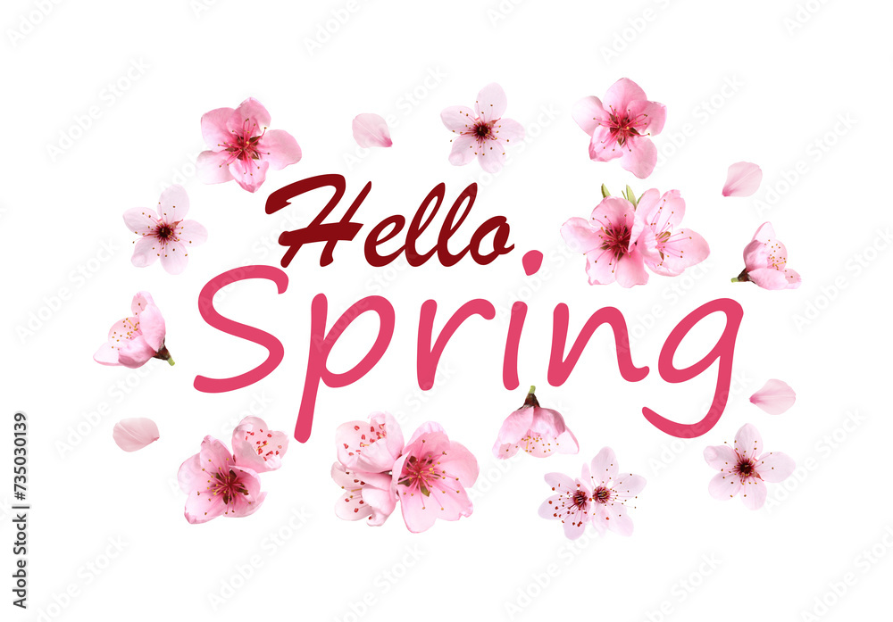 Hello Spring card design with beautiful pink flowers on white background Hello Spring card design with beautiful pink flowers on white background