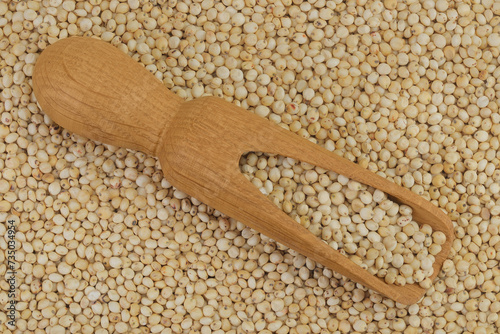 background of sorghum seeds with wooden scoop. Top view. Flat lay.