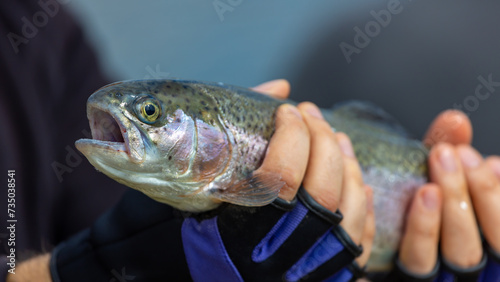 A healthy brook trout with a streamer being held in a man’s hands.Still water trout fishing.