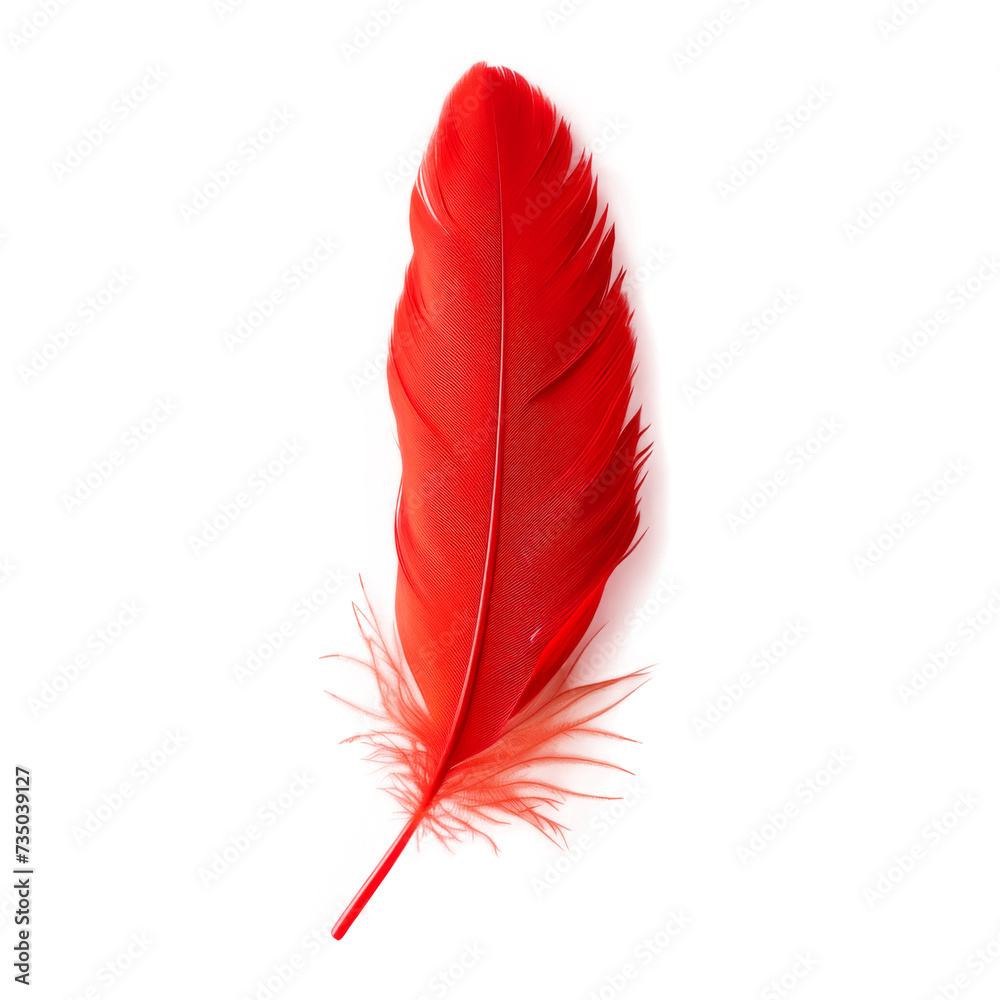 Red Feather on Transparent Background Red Feather on Transparent Background