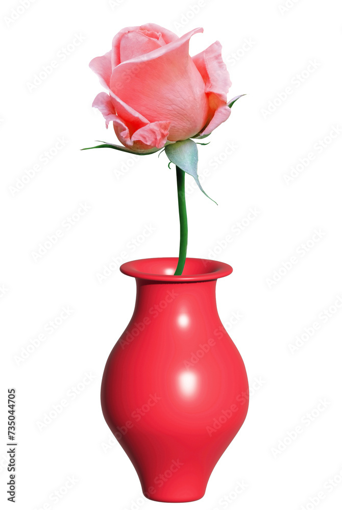 Obraz premium Beautiful red one rose in vase. Valentines congratulations. Fresh gift rose on a stem in a vase illustration, the object is isolated on white. Photoshop.