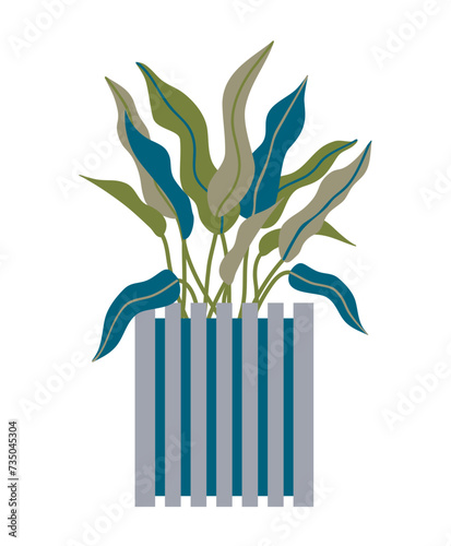 Houseplant with long leaves in floor pot in cool green and blue colors. Modern trendy retro concept for living room design or poster. Indoor plant concept of domestic greenery. Icon for home interior