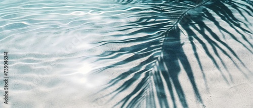 Palm leaf shadow on the ocean