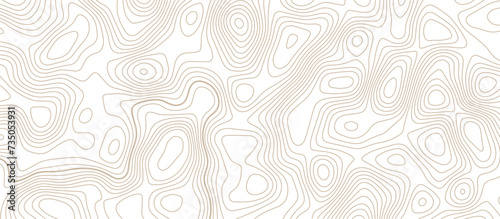 Abstract topographic Contour Map Subtle White Vector Background . Blank Detailed topographic patter line map background .Topographic Map Of wild west Abstract Vector Background.