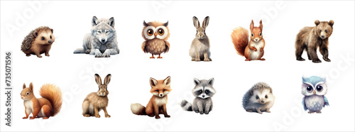 Realistic Vector Illustration of Twelve Woodland Animals in Various Poses