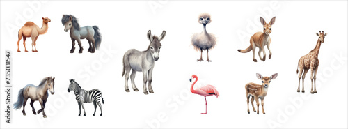 Vector Illustration Set of Various Wild Animals: Camel, Horse, Donkey, Ostrich, Kangaroo, Giraffe, Pony, Zebra, Flamingo