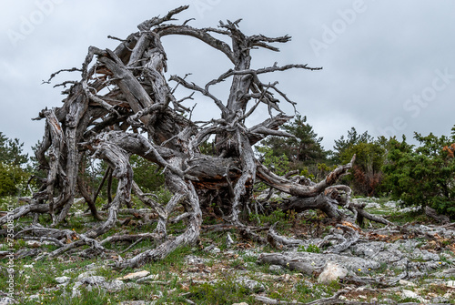 Paisaje del Parque natural de Valderejo en Alava