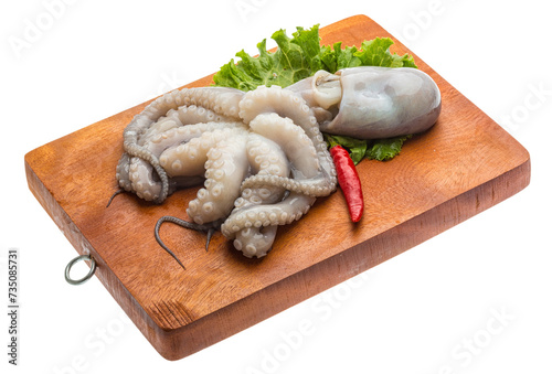 Raw octopus
