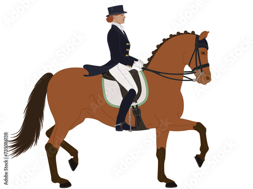 equestrian dressage, upper level horse with female rider in formal dress isolated on a white background