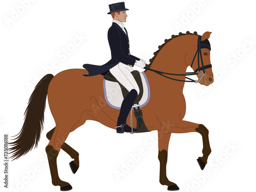 equestrian dressage, upper level horse with male rider in formal dress isolated on a white background © yojo