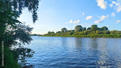 Obraz na płótnie Branches of willows growing on the river bank overhang the water