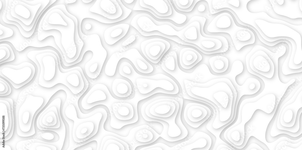 white paper and relief wave and cruve line paper cut background. soft white color seamless pattern, vector illustration, multi layer cutout banner design. topo counter map in 3d view. white paper and relief wave and cruve line paper cut background. soft white color seamless pattern, vector illustration, multi layer cutout banner design. topo counter map in 3d view.