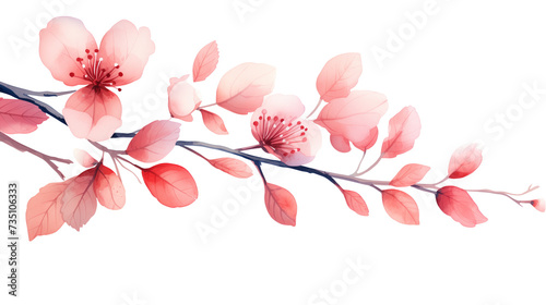 Sakura watercolor branches isolated on a transparent background.
