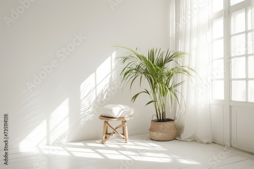 Scandinavian minimalistic home light white interior with green plant in pots