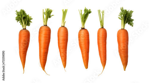 carrots isolated on png photo
