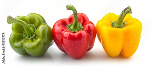 A row of three bell peppers of different colors is showcased on a white background. These natural foods are a popular ingredient in cuisines worldwide, adding flavor and color to dishes.