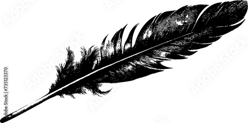 Bird feather in ink drawing style. Isolated bird plume element, in black color