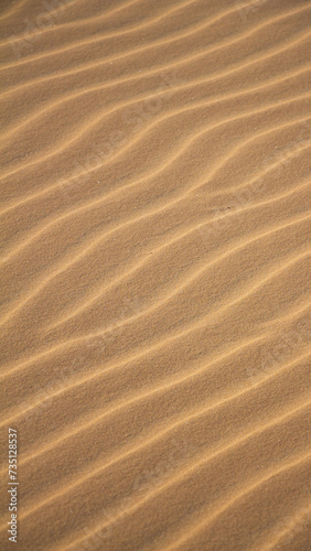 Marcas do vento numa duna de areia. © Leonardo