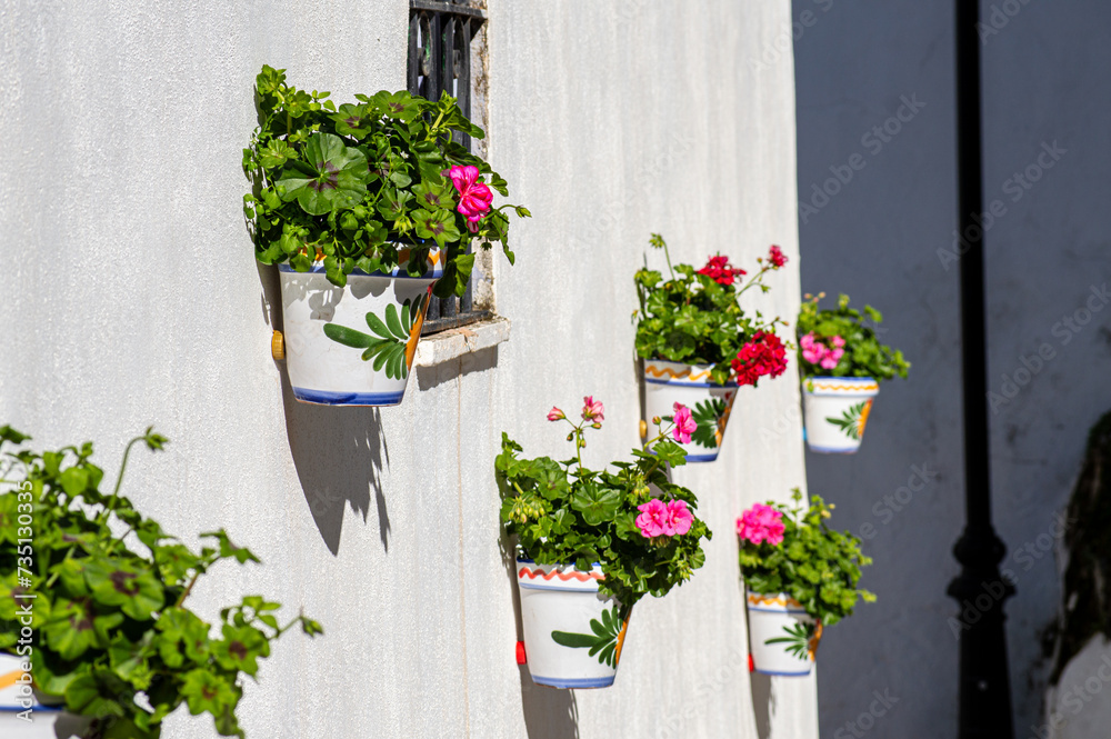 Naklejka premium Corners and details on the streets in Parauta, Spain