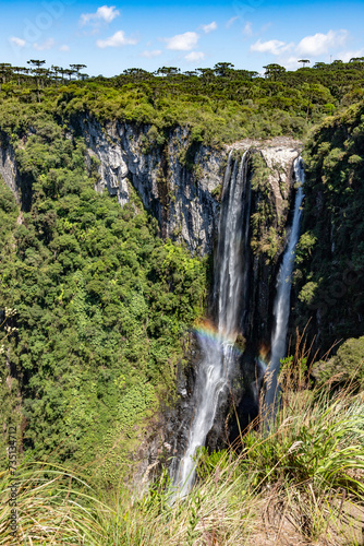 Vegetation, Arauracia trees and waterfall in Itaimbezinho Canyon