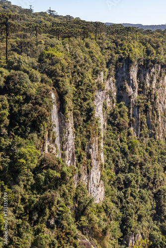 Forest and cliffs in Itaimbezinho Canyon