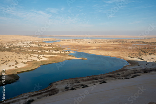 Fototapeta Naklejka Na Ścianę i Meble -  Magic Lake; where water comes out of deep earth & forms a lake in a heart of dessert in Egypt.