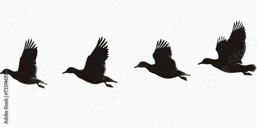 A flock of ducks flying through the air. Perfect for nature and wildlife enthusiasts