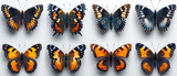 Series of butterflies. Seven different butterfly images on white background