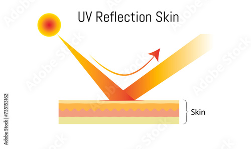 UV reflection skin after protection,illustration of skin damage from the sun and protection UV filter, after sun protection body adipose layers epidermis recent vector infographic, isolated, hrizontal