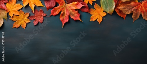 Photography from above of craft envelope with dry leaf in it Autumn concept large banner. Creative Banner. Copyspace image