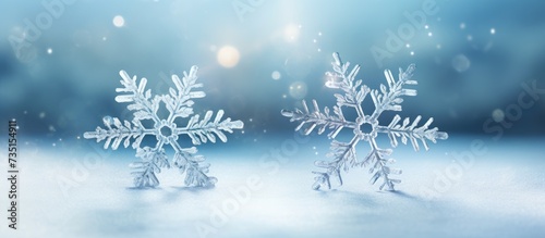 two delicate real snowflakes on a textured background of frost and ice crystals. Creative Banner. Copyspace image