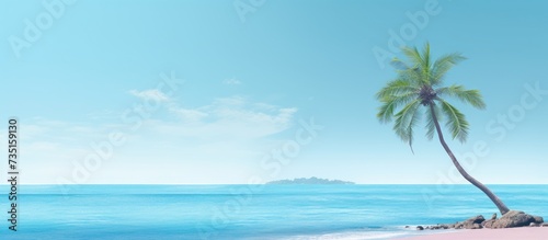 minimalistic landscape with lonely palm tree on the sea shore. Creative Banner. Copyspace image