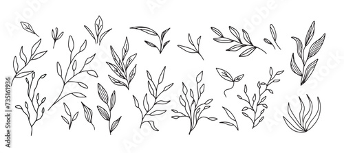 Vector collection of hand drawn flowers illustration.