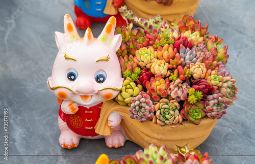 Miniature succulent plants in Tradition Dragon Chinese pot © xiaoliangge