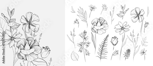 Set of detailed black and white drawing various flowers and leaves. Luxury floral collection for wedding invitation, wallpaper art or save the date card