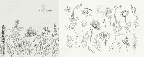 Set of detailed black and white drawing various flowers and leaves. Luxury floral collection for wedding invitation, wallpaper art or save the date card