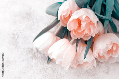 pink tulips on a gray concrete background. Bouquet for a gift. Festive congratulations on Mother's Day, March 8, Birthday and Valentine's Day. Top view, flat lay, copy space.