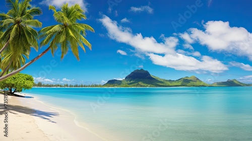 tropical hawaiian holiday backgrounds