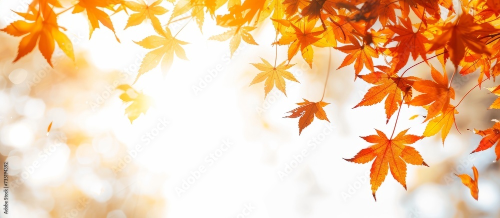 Vibrant Autumn Leaves Background with Warm Colors and Soft Natural Light Vibrant Autumn Leaves Background with Warm Colors and Soft Natural Light