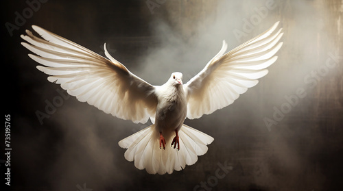 White dove flying. Symbol of a peace, hope, and love. Holy spirit concept © grethental